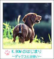 K.BOMBER�̂͂��܂�