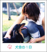 ���ɂ�1��