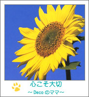 �S�������