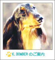 K.BOMBER�̂��ē�