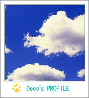 Deco�v���t�B�[��